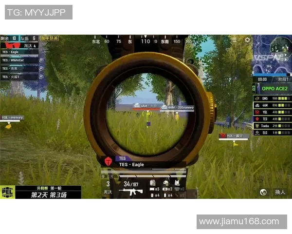 和平精英战术解析：深入探讨FPX战队的防守与反击策略