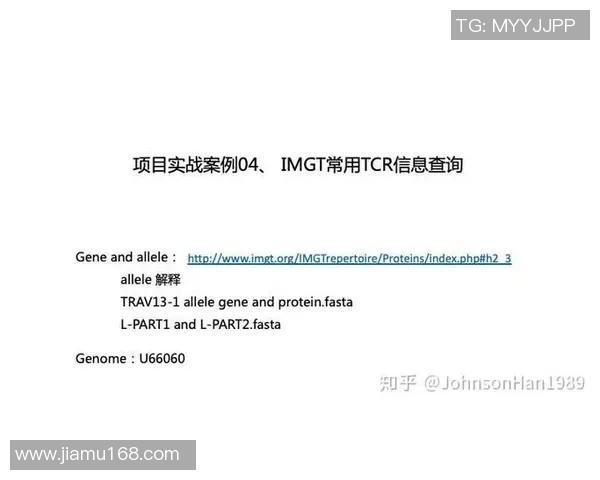 深入分析杭州街舞队包夹战术的独特魅力与实战应用 深入分析杭州街舞队包夹战术的独特魅力与实战应用